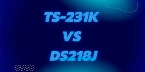 TS-231K ou DS218j: Qual devo escolher?