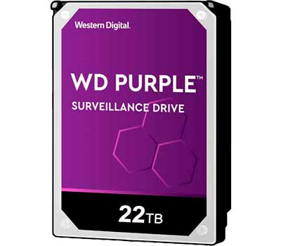 WD221PURP - WD221PURP