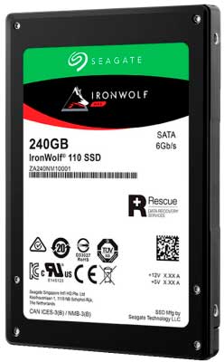 Seagate IronWolf 110 SATA SSD ZA240NM10001