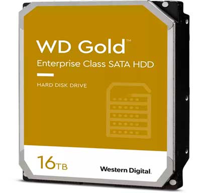 WD Gold HDD Interno SATA 7.200 RPM - WD161KRYZ